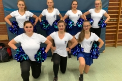 Cheerdance